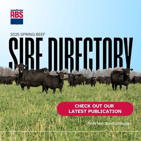 Check out our latest publication 2025SireDirectory_1080x1080_Promo_noarrow