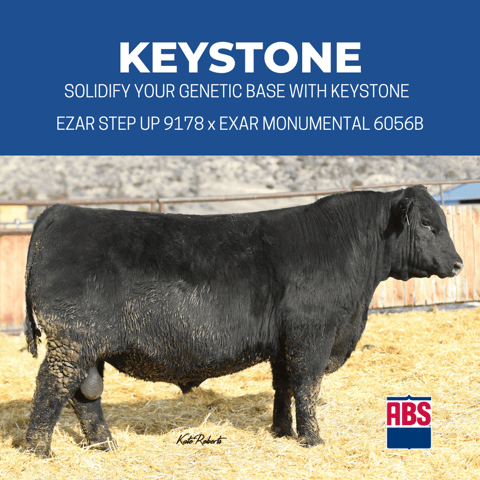 KEYSTONE