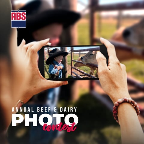 PhotoContest_1200x1200_SquarePost_0525
