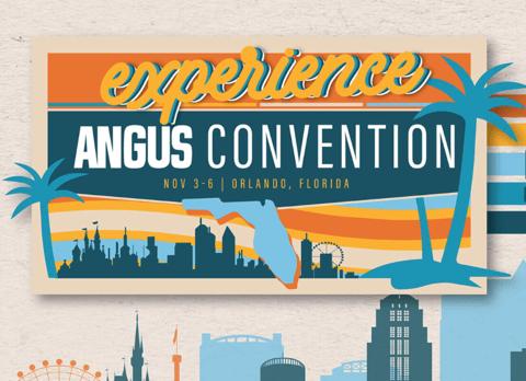 Angus Convention
