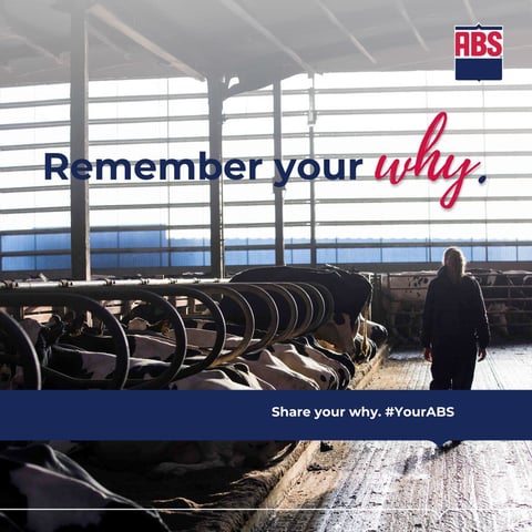 YourABS_RememberYourWhy_Social_1200x1200_Dairy-NAM (1)